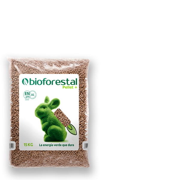 Bioforestal Conifera